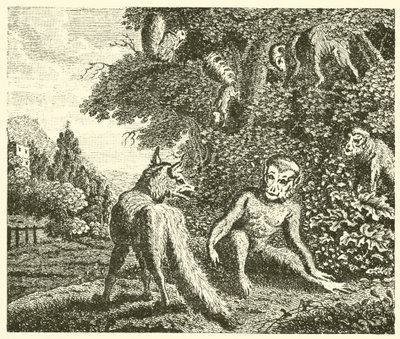 De aap en de vos (gravure) door English School