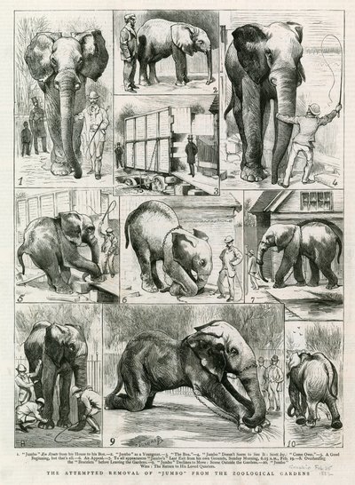 De poging om Jumbo uit de dierentuin te verwijderen door English School