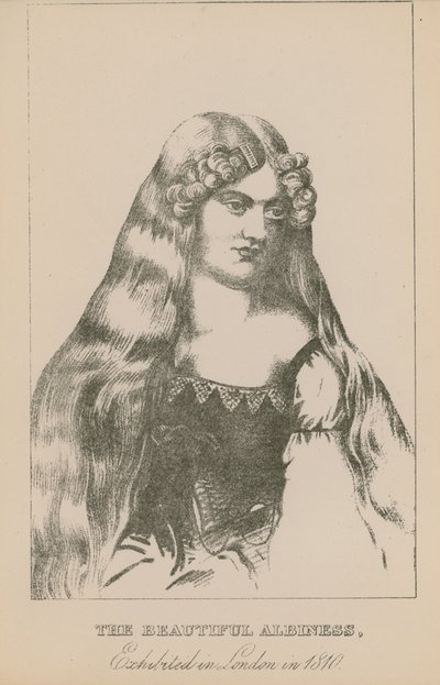 De mooie albino, tentoongesteld in Londen in 1810 door English School