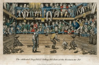 De gevierde hond billy die 100 ratten doodt in de Westminster Pit (ingekleurde gravure) door English School