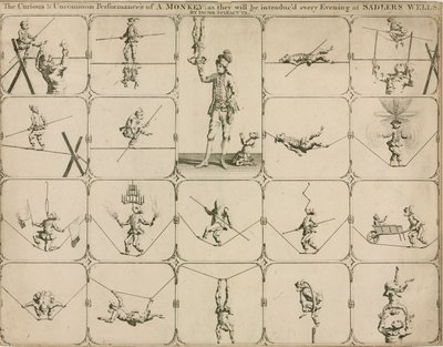 De curieuze en ongewone voorstelling van een aap zoals elke avond geïntroduceerd bij Sadlers Wells door Signor Spinacuta door English School