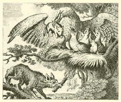 De adelaar en de vos (gravure) door English School