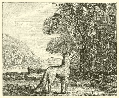 De vos en de druiven door English School
