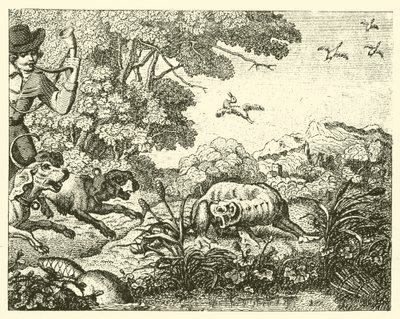 De opgejaagde bever (gravure) door English School
