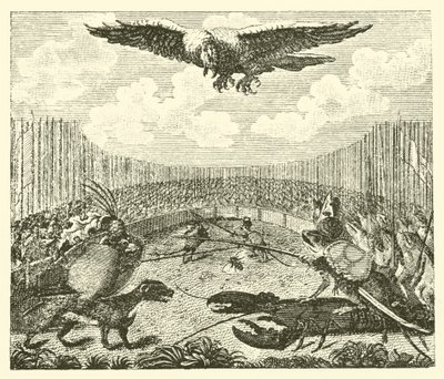 De vlieger, de kikker en de muis door English School