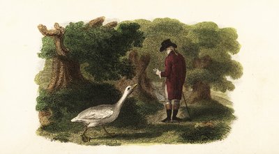 De mannelijke gans Jacquot en zijn menselijke vriend, een Franse heer door English School