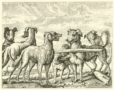 De ondeugende hond (gravure) door English School