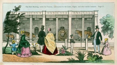Het nieuwe gebouw, onder het terras, gebouwd voor de leeuwen, tijgers en andere soortgelijke dieren door English School