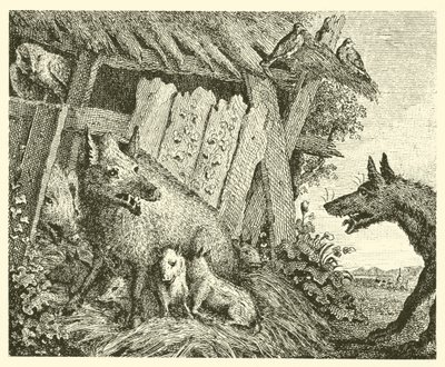 De zeug en de wolf (gravure) door English School
