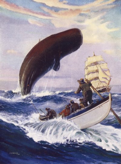 De walvis hief zijn hele enorme massa uit het water door English School
