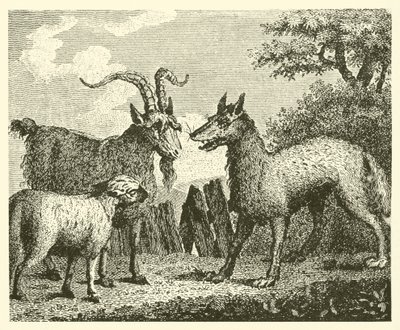 De wolf, het lam en de geit (gravure) door English School