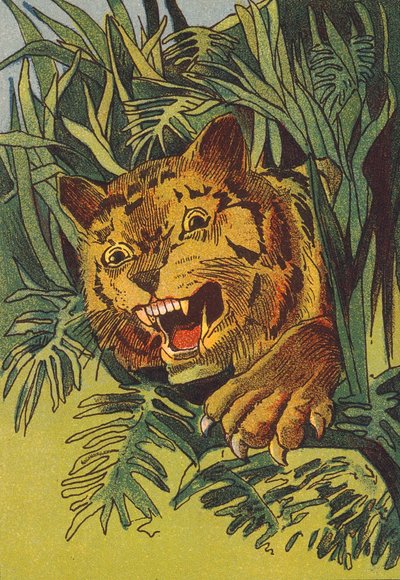Tijger, India (kleurenlitho) door English School
