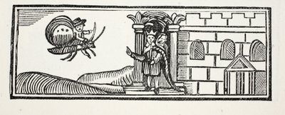 Tom verborg zich en probeerde te ontsnappen op de rug van een vlinder, illustratie uit Chap-books van de Achttiende Eeuw door John Ashton, uitgegeven 1882 door English School
