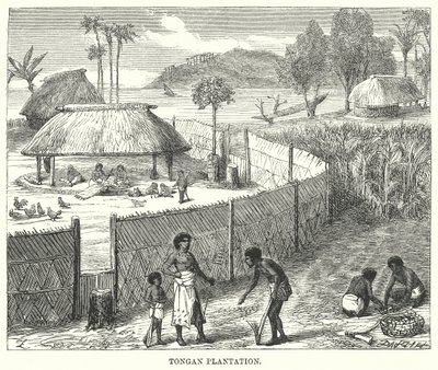Tongaanse plantage (gravure) door English School