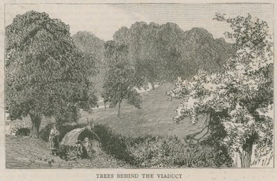 Bomen achter het viaduct door English School