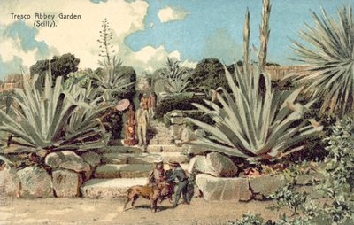 Tresco Abbey Garden, Scilly-eilanden, Cornwall door English School