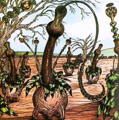 Triffids door English School