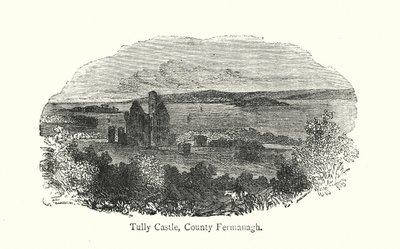 Tully Kasteel, County Fermanagh door English School