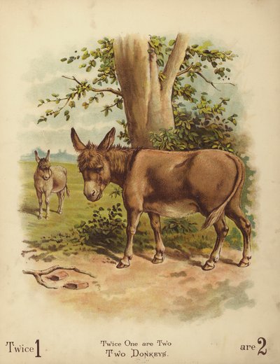 Twee ezels (chromolitho) door English School