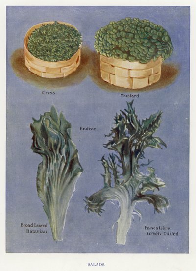 Groentekwekersgids: Salades door English School