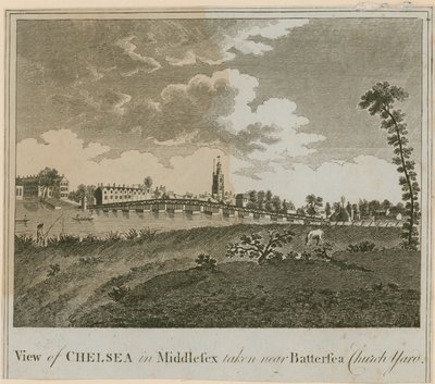 Uitzicht op Chelsea in Middlesex nabij Battersea Kerkhof door English School