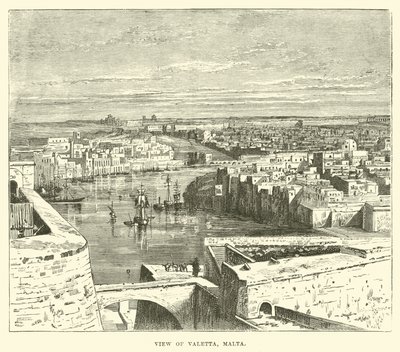 Uitzicht op Valetta, Malta door English School