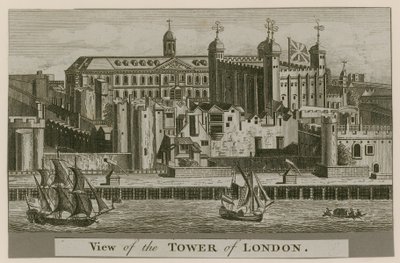 Uitzicht op de Tower of London door English School