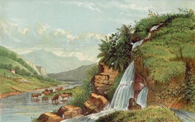 Waterval en vee door English School