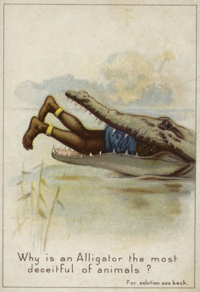 Waarom is een alligator het meest bedrieglijke dier? door English School