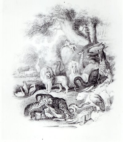Wilde Dieren uit 