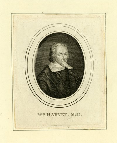 William Harvey door English School