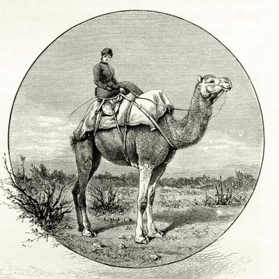 Vrouw op een kameel in Australië, ca. 1880, uit 