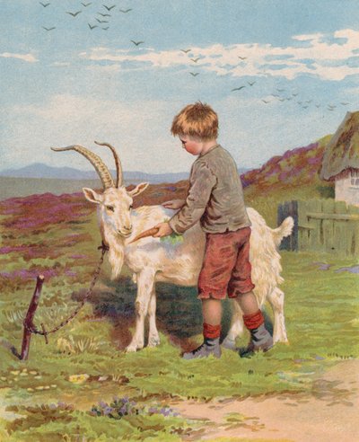 Jonge jongen voert een wortel aan een bok op een boerderij door English School