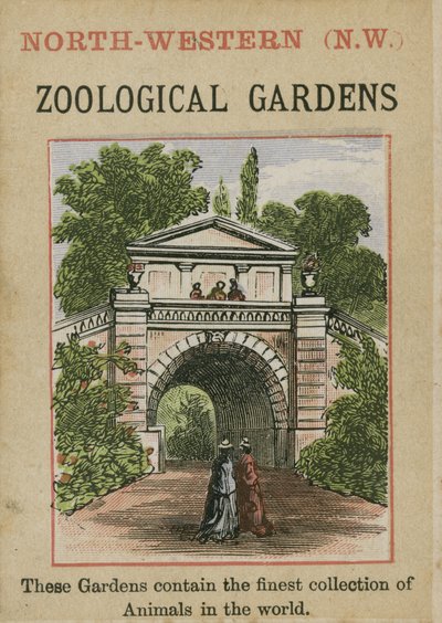 Dierentuin door English School