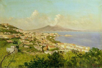 Uitzicht op de baai van Napels door Enrico Pistilli