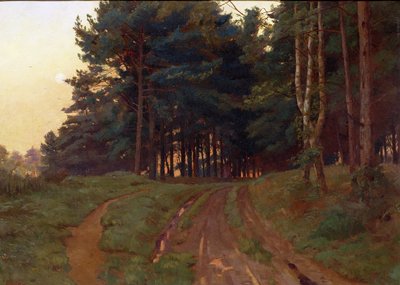 De stilte regeerde haar avond door Ernest Arthur Rowe