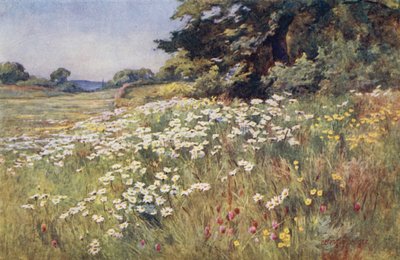 Zonneschijn in Weideland door Ernest Benger or Berenger