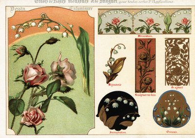 Afbeeldingen van mosroos en lelietje-van-dalen uit manuscripten en hun toepassing door Ernest Guillot