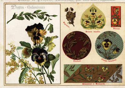 Afbeeldingen van viooltjes en mimosa uit manuscripten en hun toepassing door Ernest Guillot