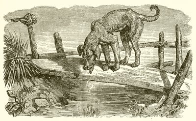 De Hond en zijn Schaduw door Ernest Henry Griset