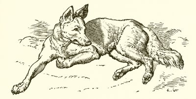 De Wolf in Schaapskleren door Ernest Henry Griset