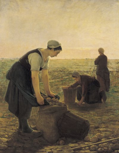 De aardappeloogst door Ernest Masson