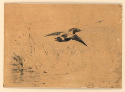 Bobolink door Ernest Thompson Seton