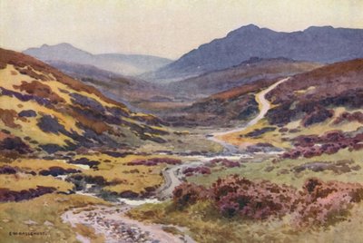 Een Moorland Pad, De Duivelsbrug (kleur litho) door Ernest William Haslehust