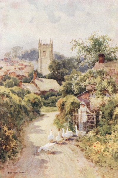 Bere Regis door Ernest William Haslehust