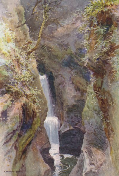 Lydford Gorge door Ernest William Haslehust