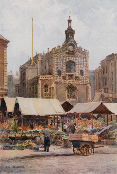 De Markt en Gildehal, Norwich door Ernest William Haslehust