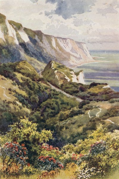 The Warren, Folkestone door Ernest William Haslehust
