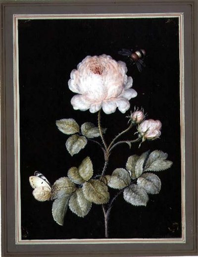 Roos met hommel en vlinder door Ernst Friedrich Carl Lang