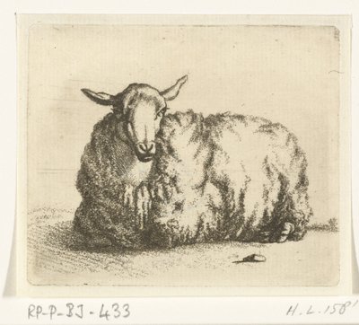 Liggend schaap van voren door Ernst Willem Jan Bagelaar